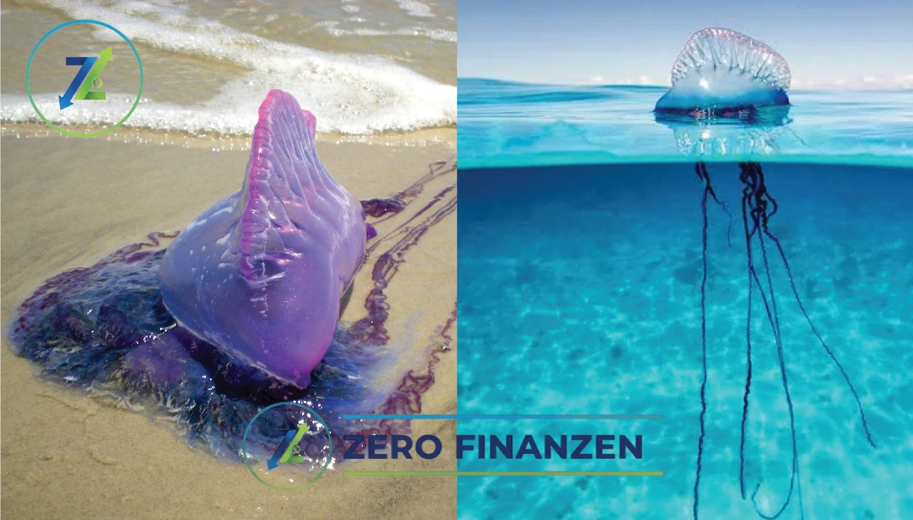 Portugiesische Galeere